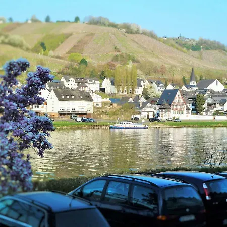 Mosel Ausblick Zell an der Mosel