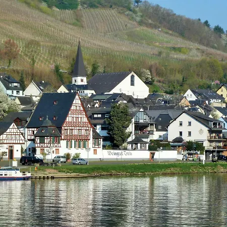 Апартаменты Mosel Ausblick *