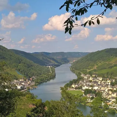 Mosel Ausblick * Zell an der Mosel