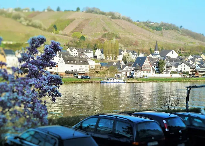 Mosel Ausblick Zell