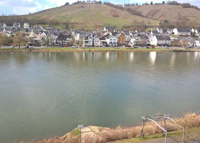 Mosel Ausblick * Zell